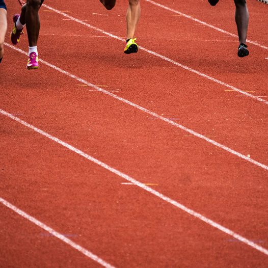 Éducation physique et sport 1